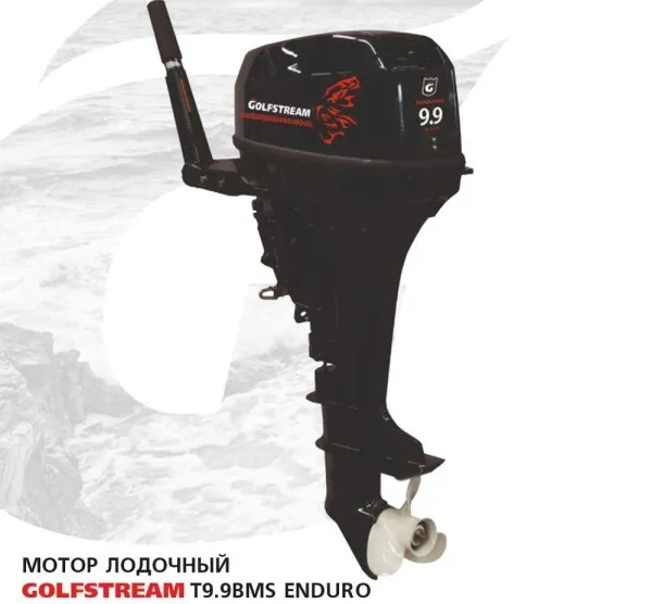 Лодочный мотор GOLFSTREAM TE 9.9 BMS Enduro