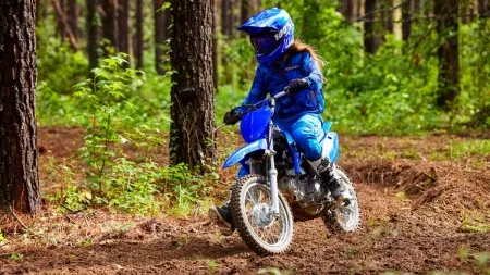 Мотоцикл Yamaha TT-R110E