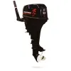 Лодочный мотор GOLFSTREAM TE 9.9 BMS Enduro