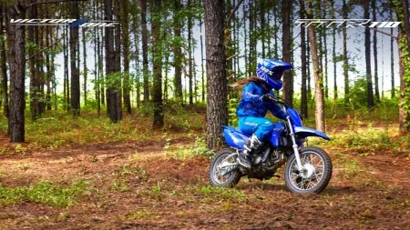 Мотоцикл Yamaha TT-R110E