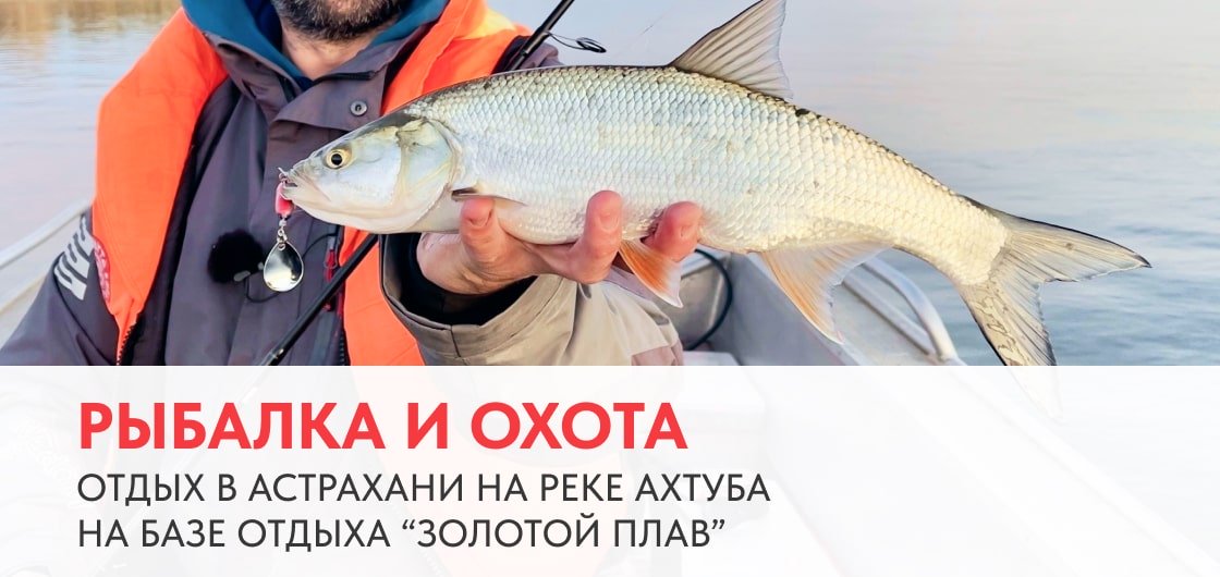 Рыбалка и охота, отдых в Астрахани на реке Ахтуба, на базе отдыха Золотой плав